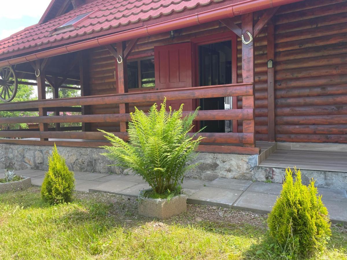 Cabana Transilvania Beliş Zewnętrze zdjęcie